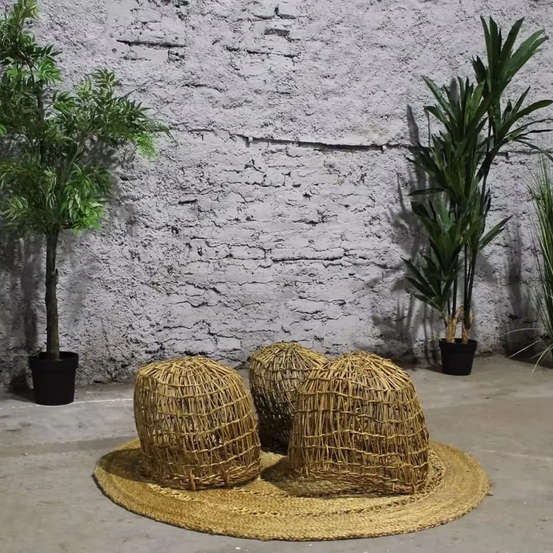 Imagen de variante 1