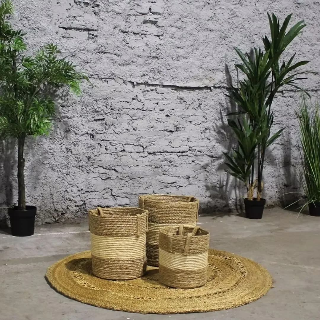 Imagen de variante 1