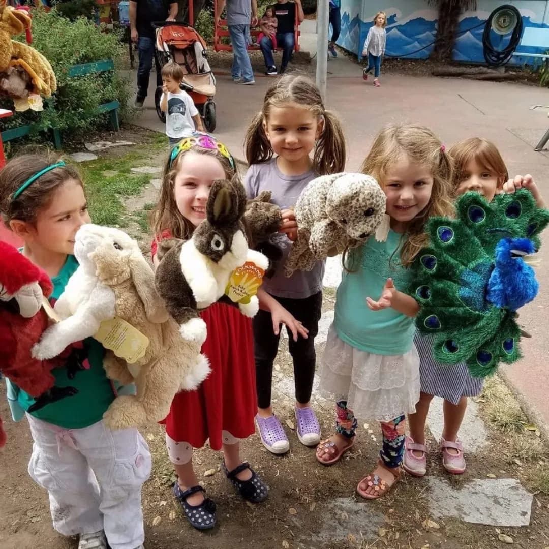 Imagen de variante 4