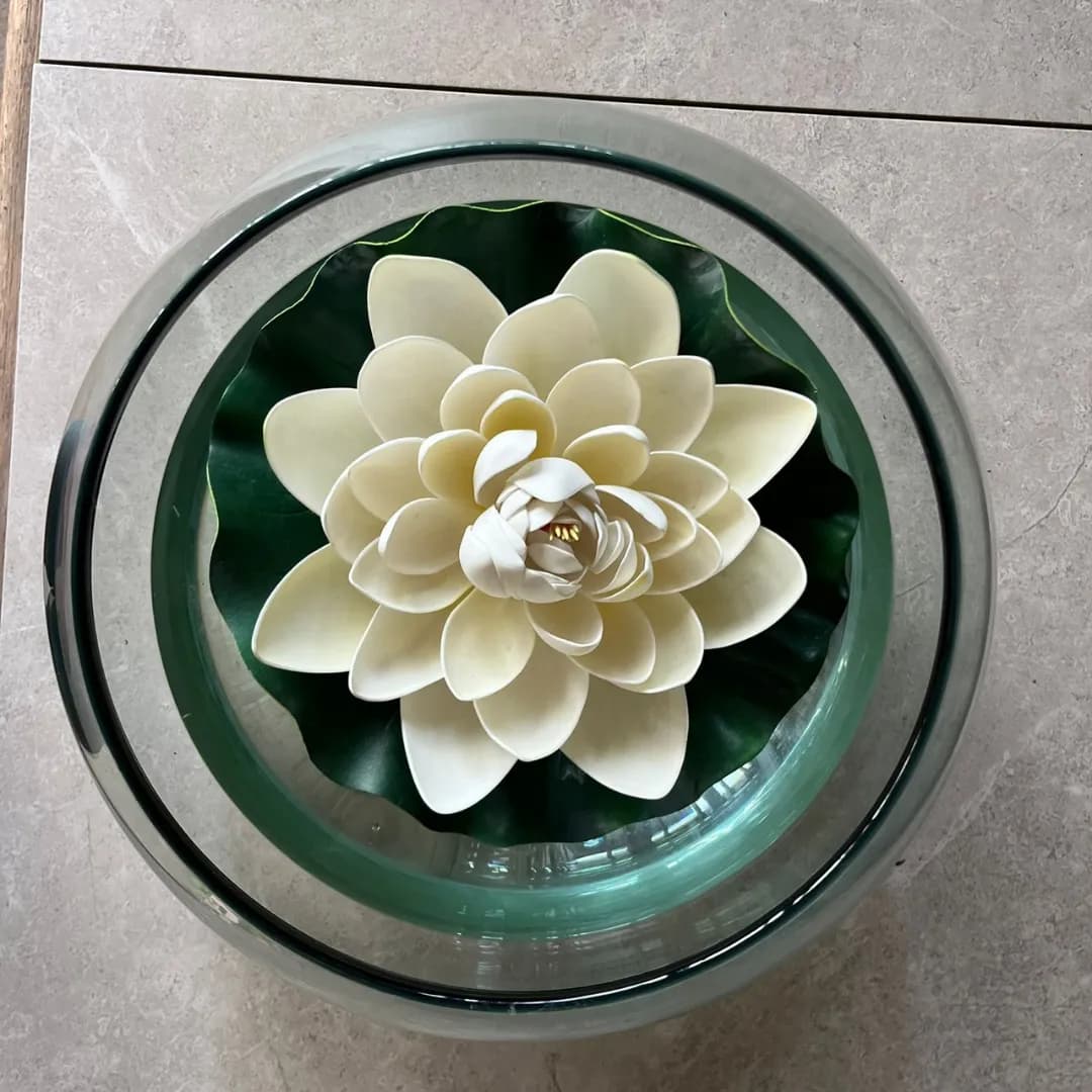 Pecera Loto — Foto 2