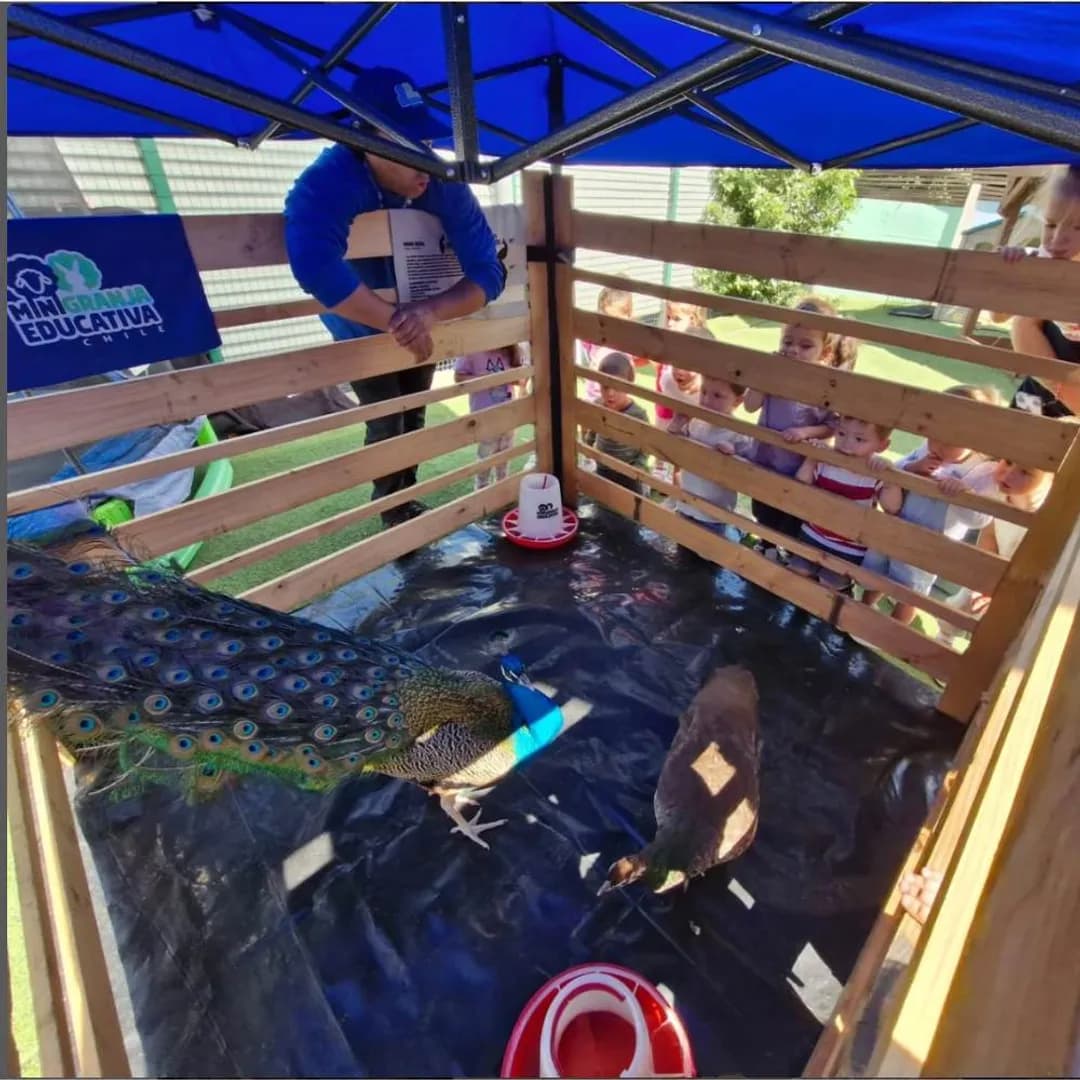 Imagen de variante 6