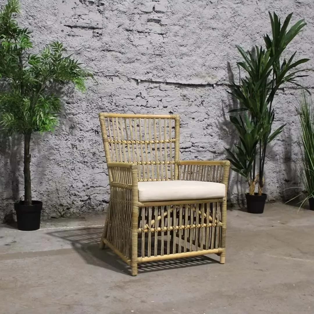 Imagen de variante 1