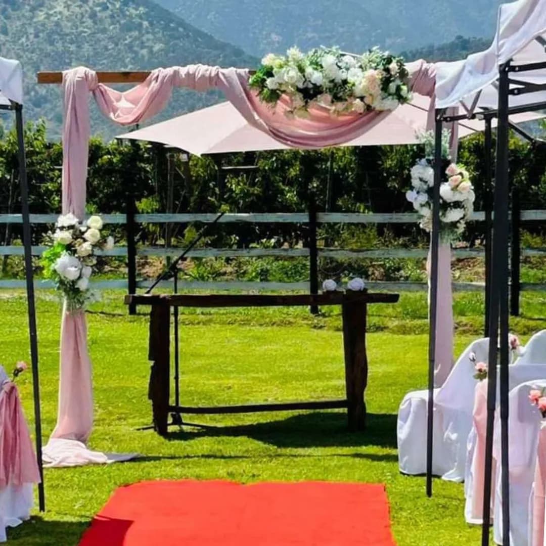 Imagen de variante 8