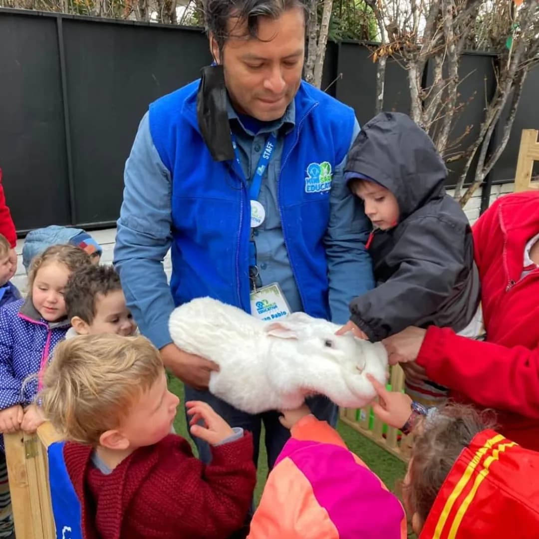 Imagen de variante 3