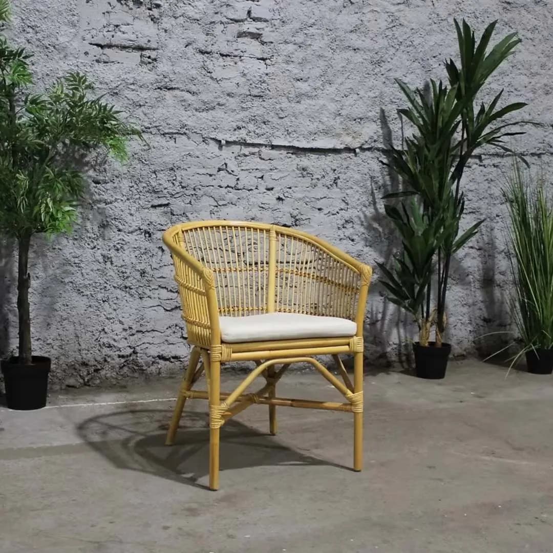 Imagen de variante 1