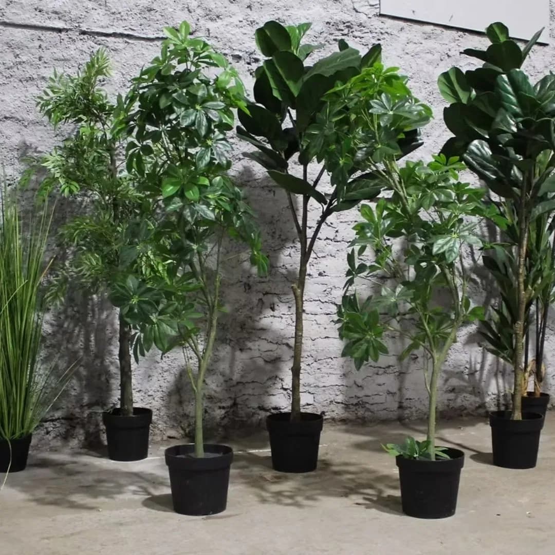 Imagen de variante 1