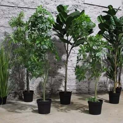 Planta Artificial