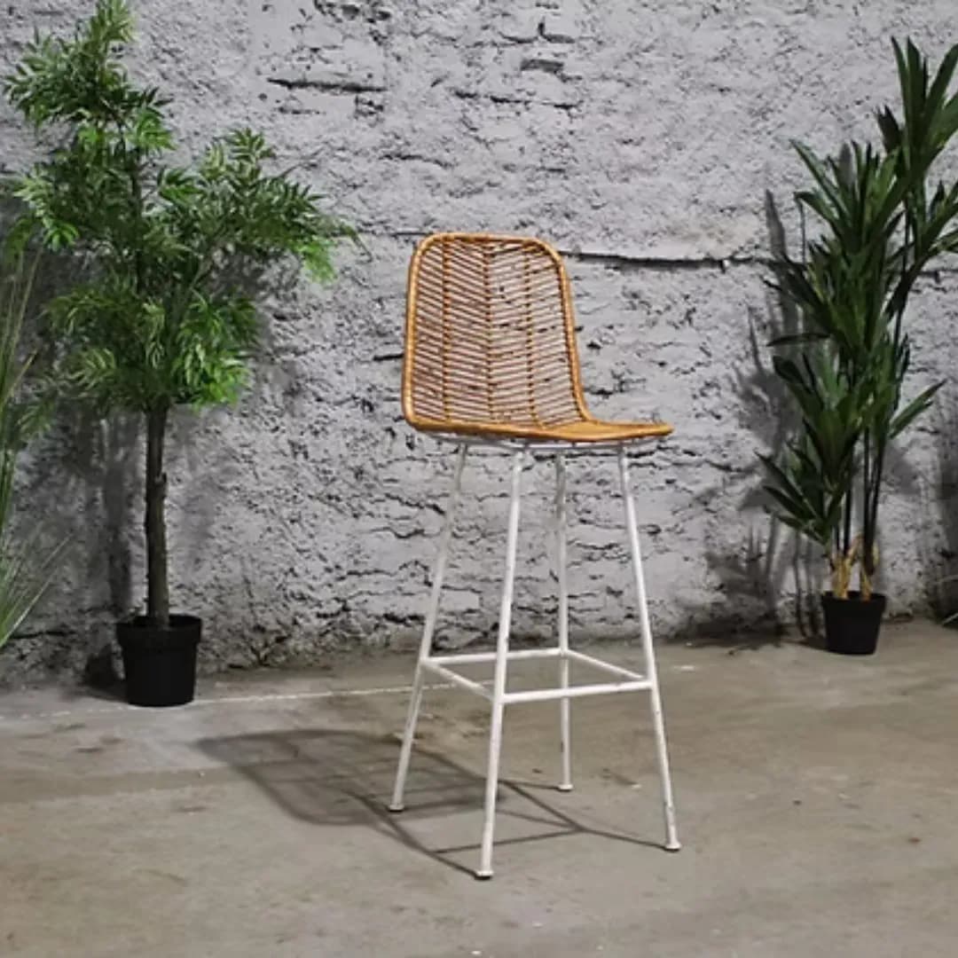 Imagen de variante 1