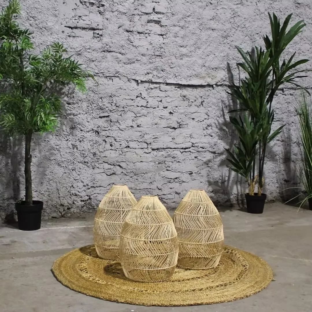 Imagen de variante 1