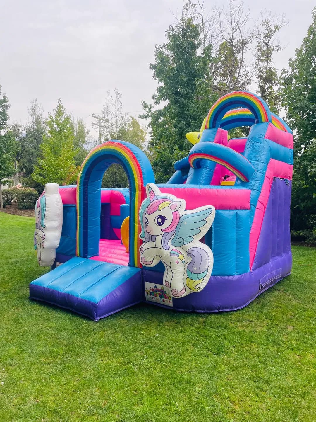 Imagen de variante 3