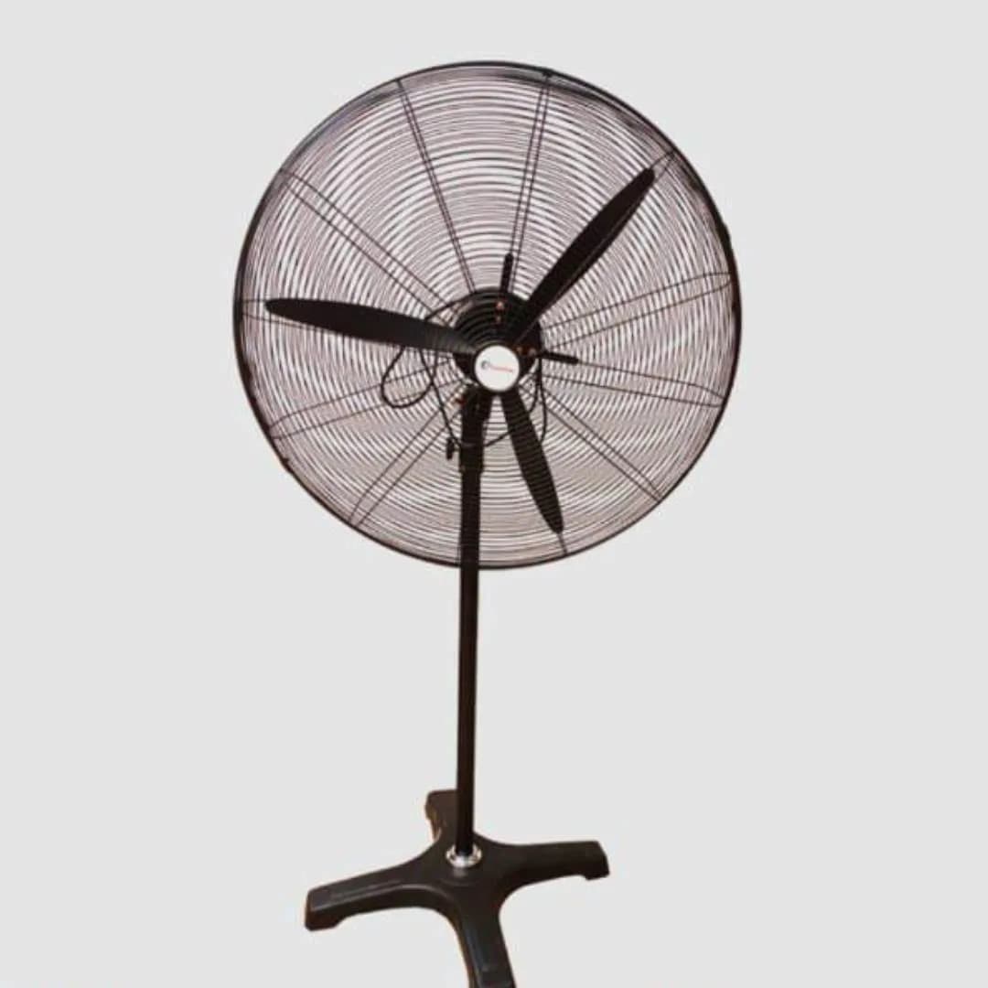 Imagen de variante 1