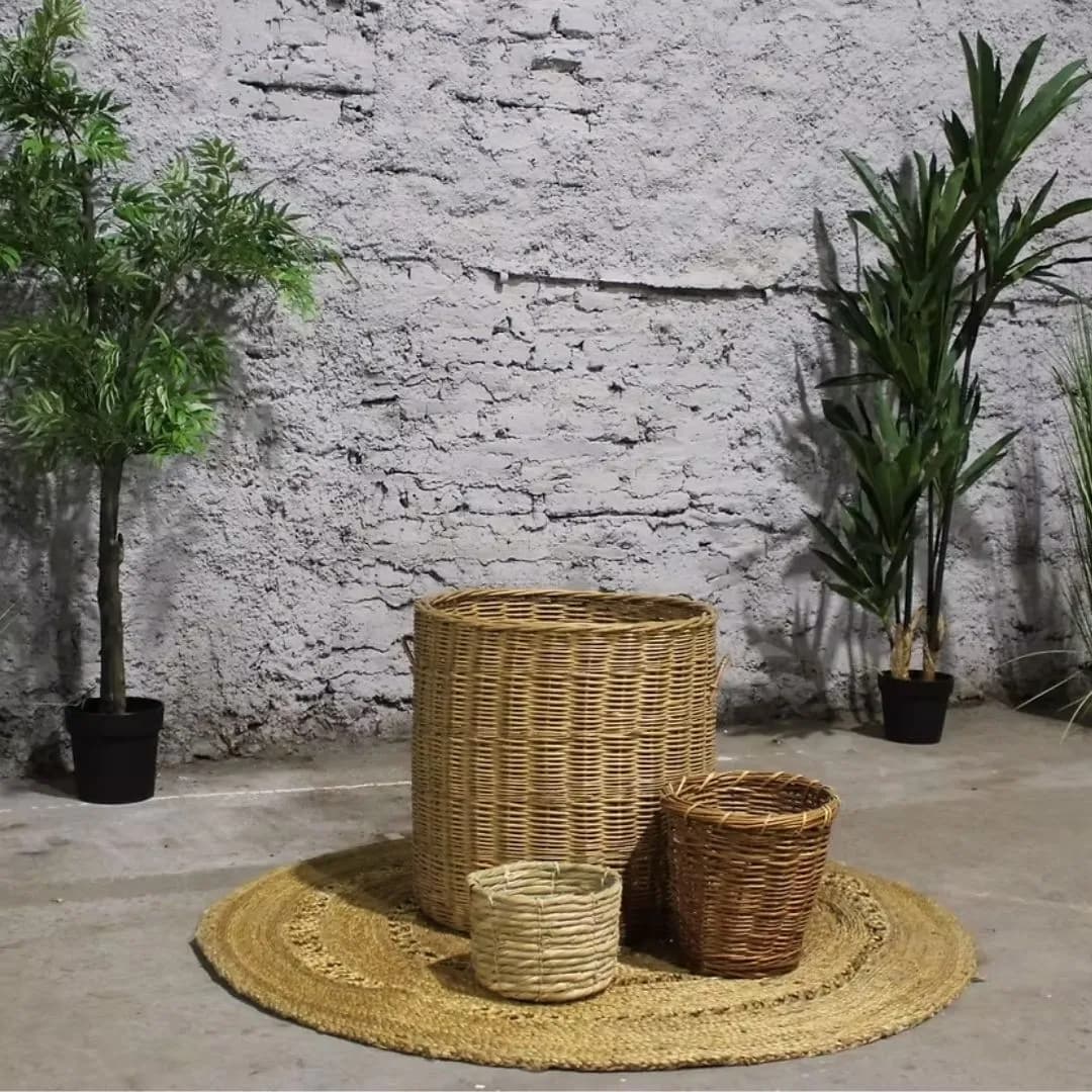 Imagen de variante 1