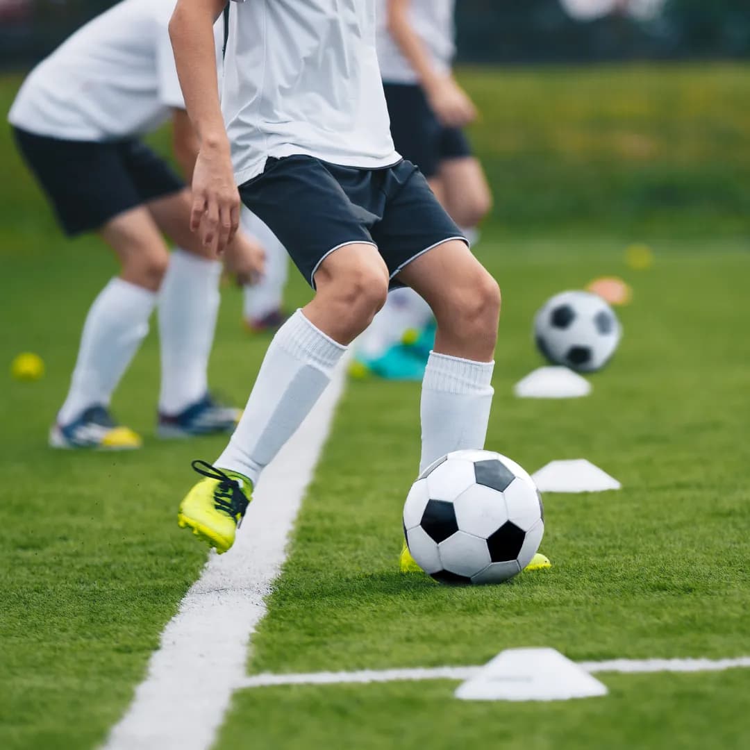 Imagen de variante 1