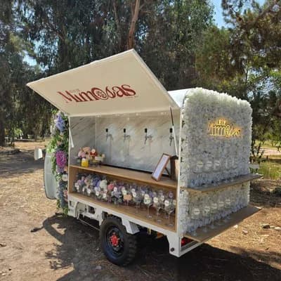 Decoración personalizada carro