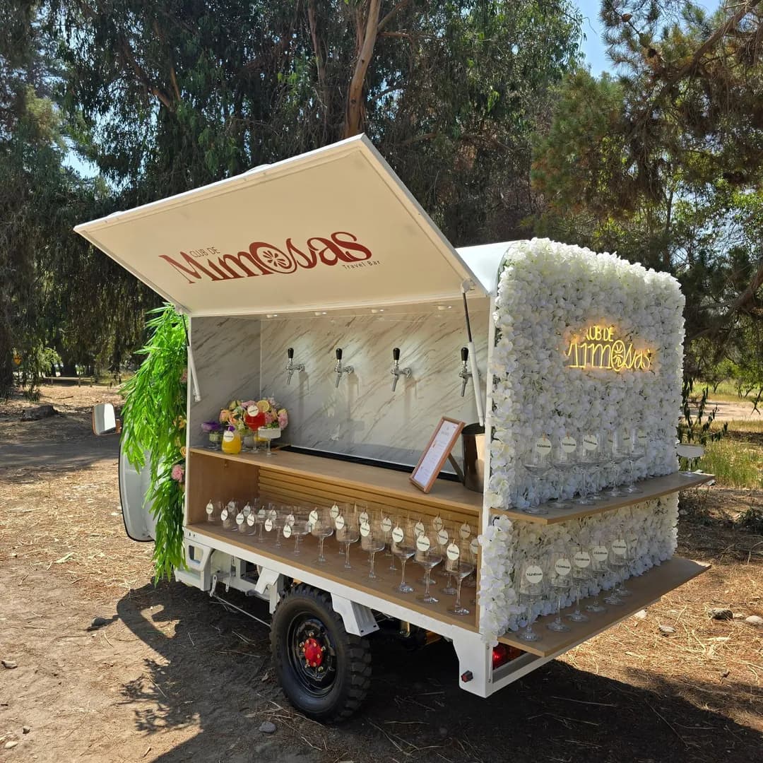 Imagen de variante 1