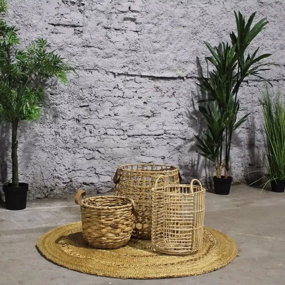 Imagen de variante 1