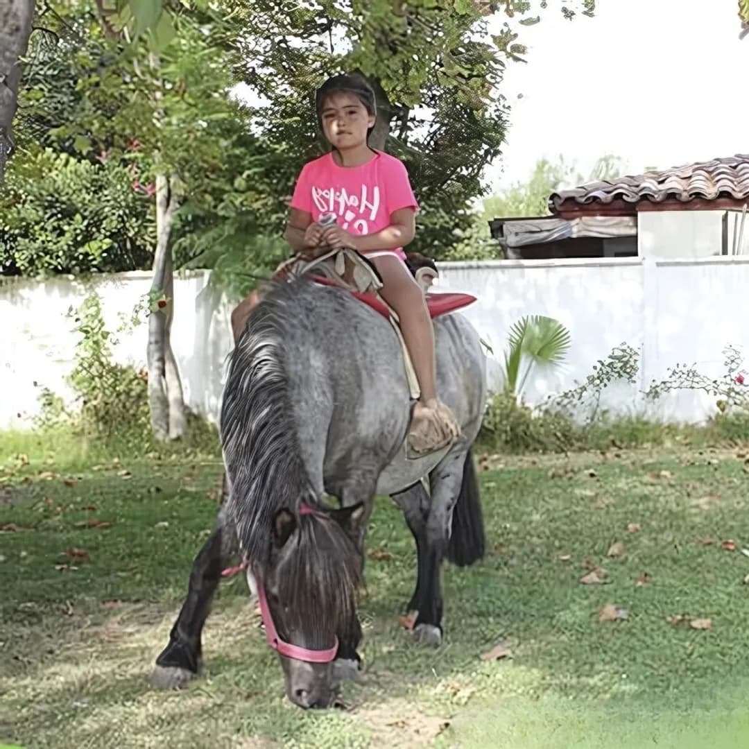 Imagen de variante 1