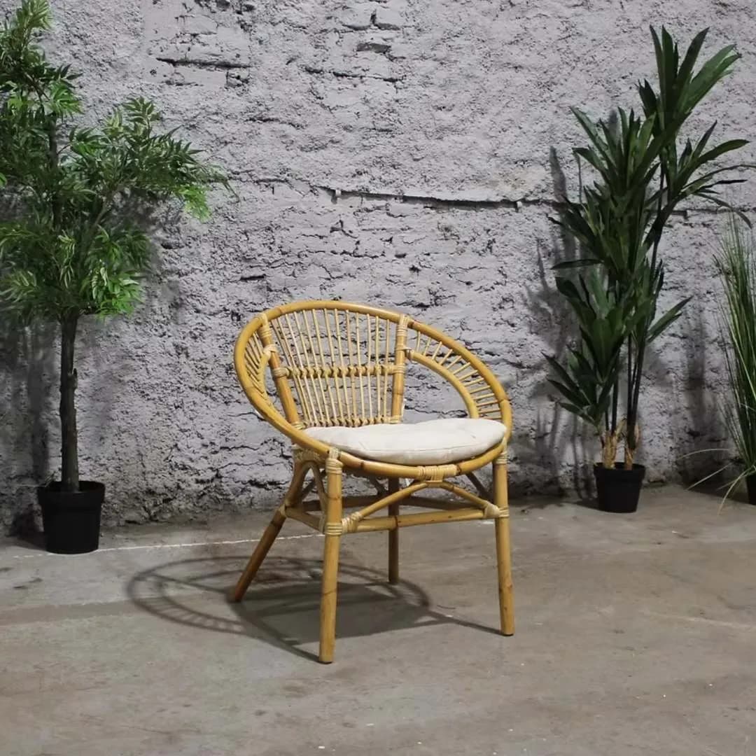 Imagen de variante 1