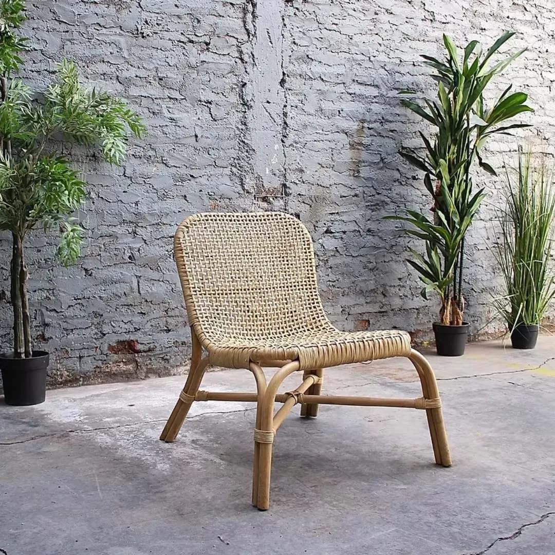 Imagen de variante 1