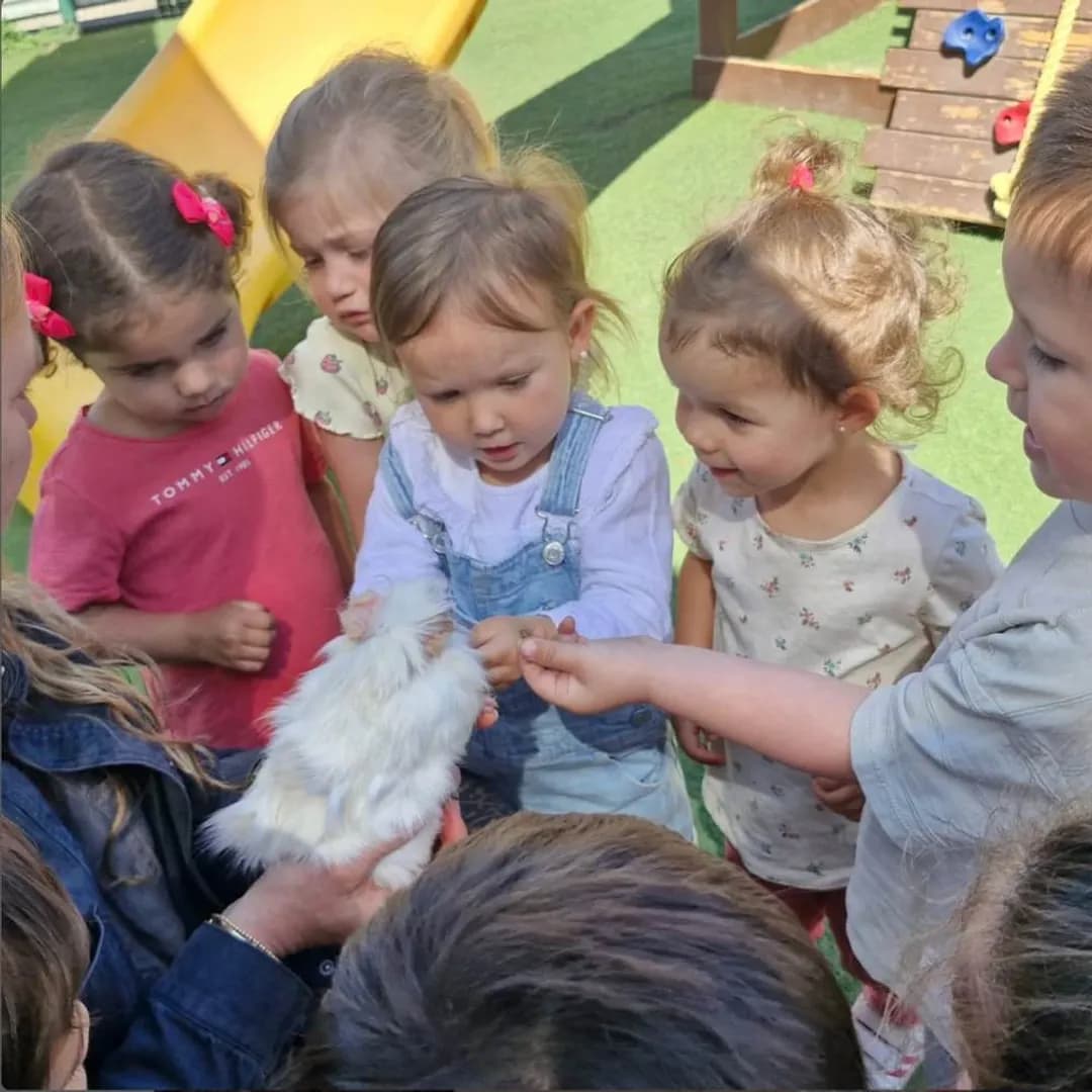 Imagen de variante 7