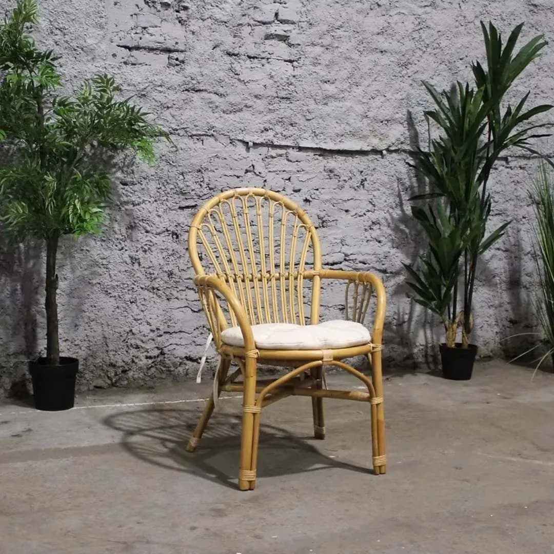 Imagen de variante 1