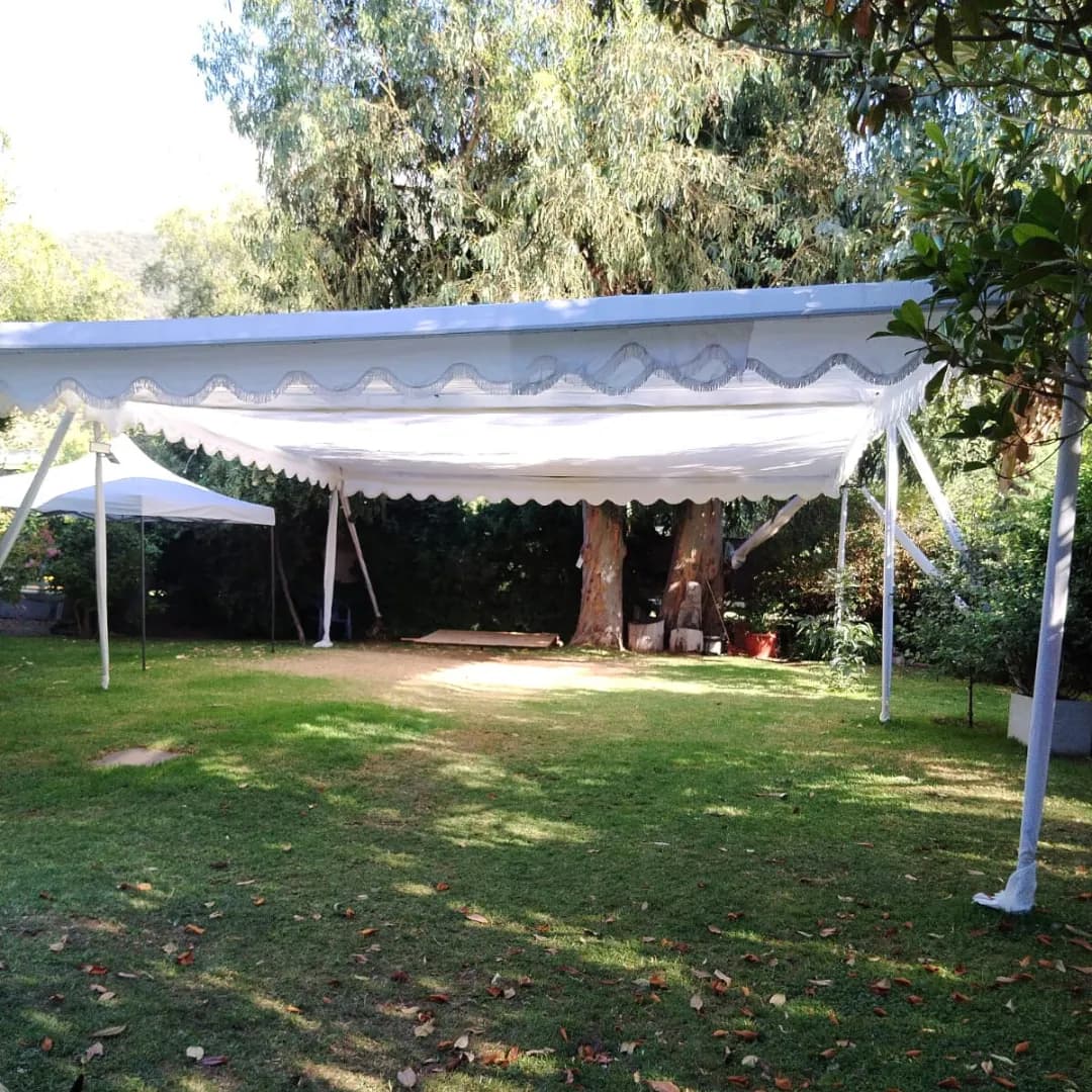 Imagen de variante 4