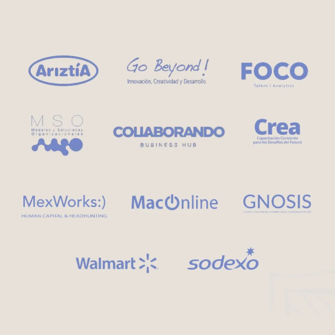 Imagen de variante 4