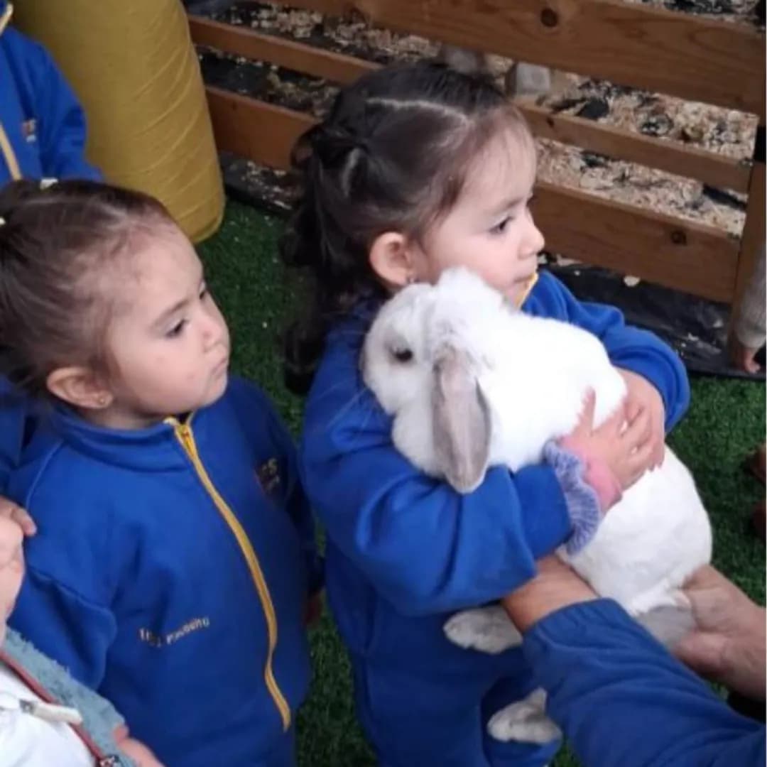 Imagen de variante 5