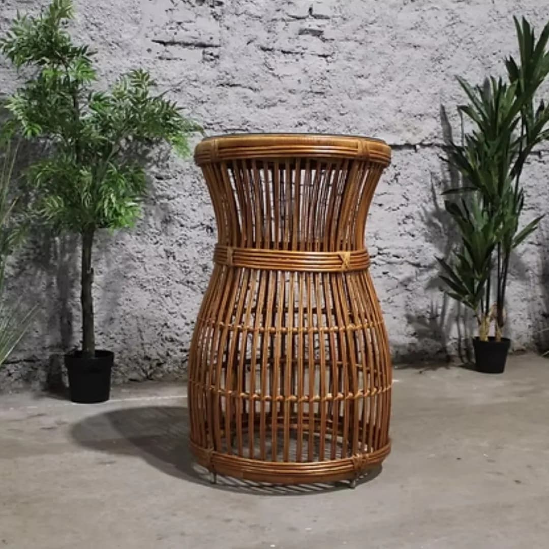 Imagen de variante 1