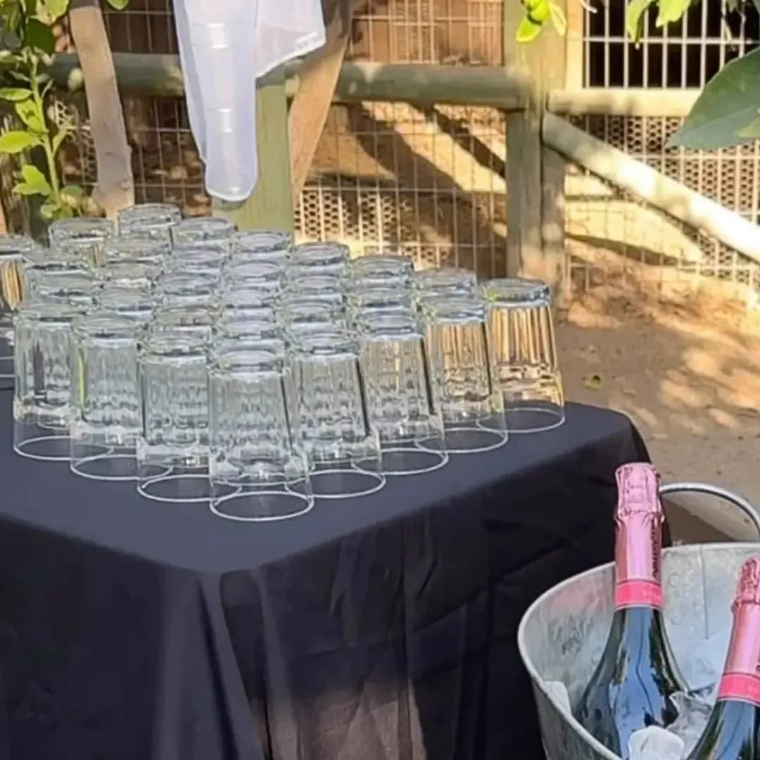 Imagen de variante 2