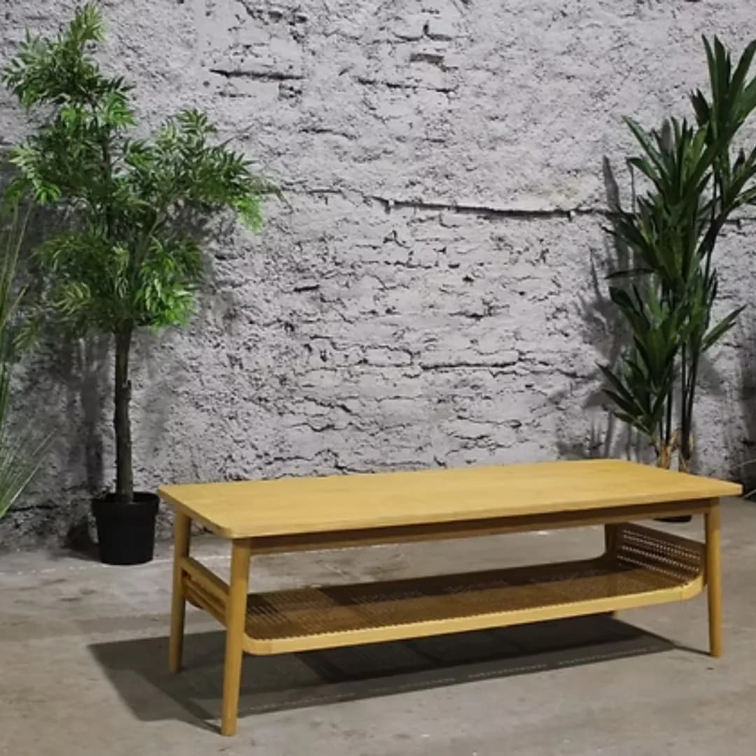 Imagen de variante 1