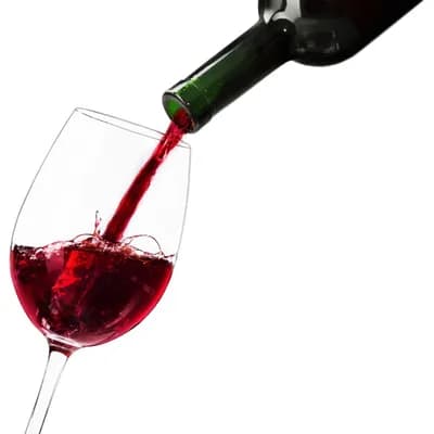 Copa de vino de cata 490cc