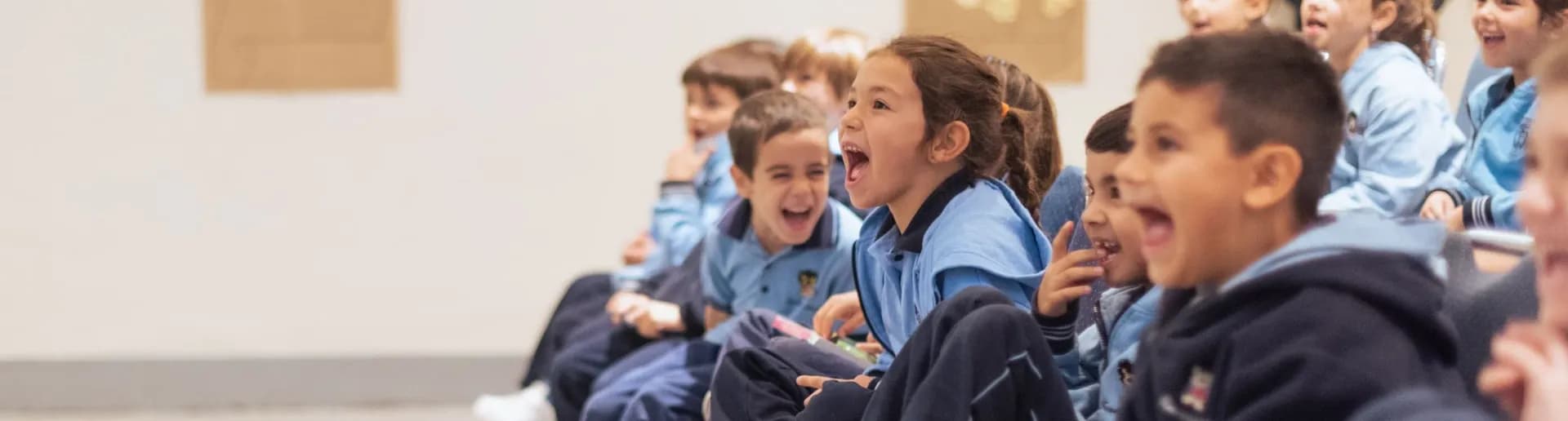 Animaciones y actividades, shows, Cuenta cuento