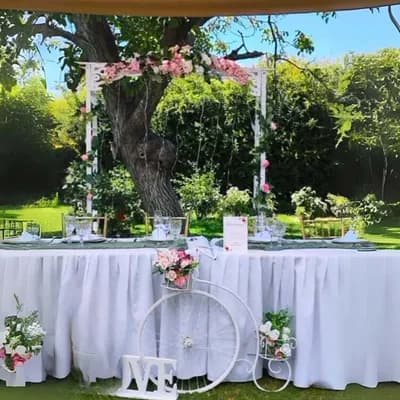 Decoración mesa de novios
