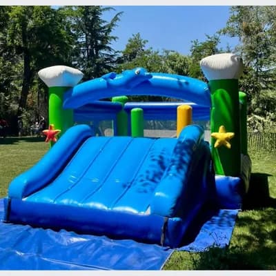 Castillo Inflable Delfín