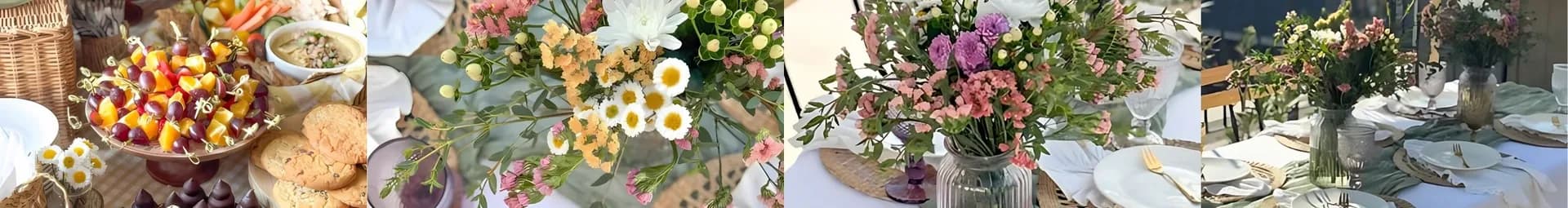 Picnic y decoraciones