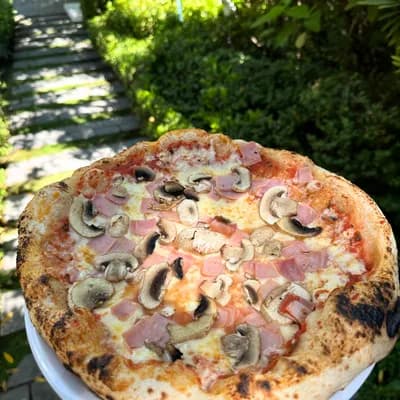 Pack 15 Pizzas Clásicas