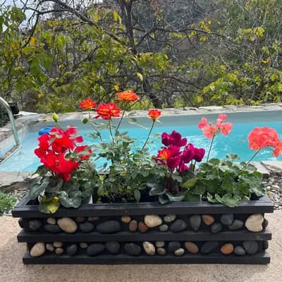 Arreglo floral macetero madera y piedras
