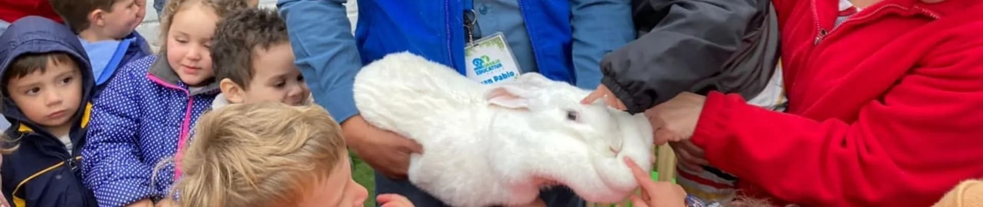 Mini Granja para Cumpleaños Infantiles